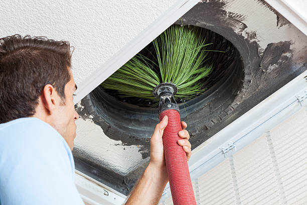 Best Affordable HVAC Duct Cleaning  in Felton, DE